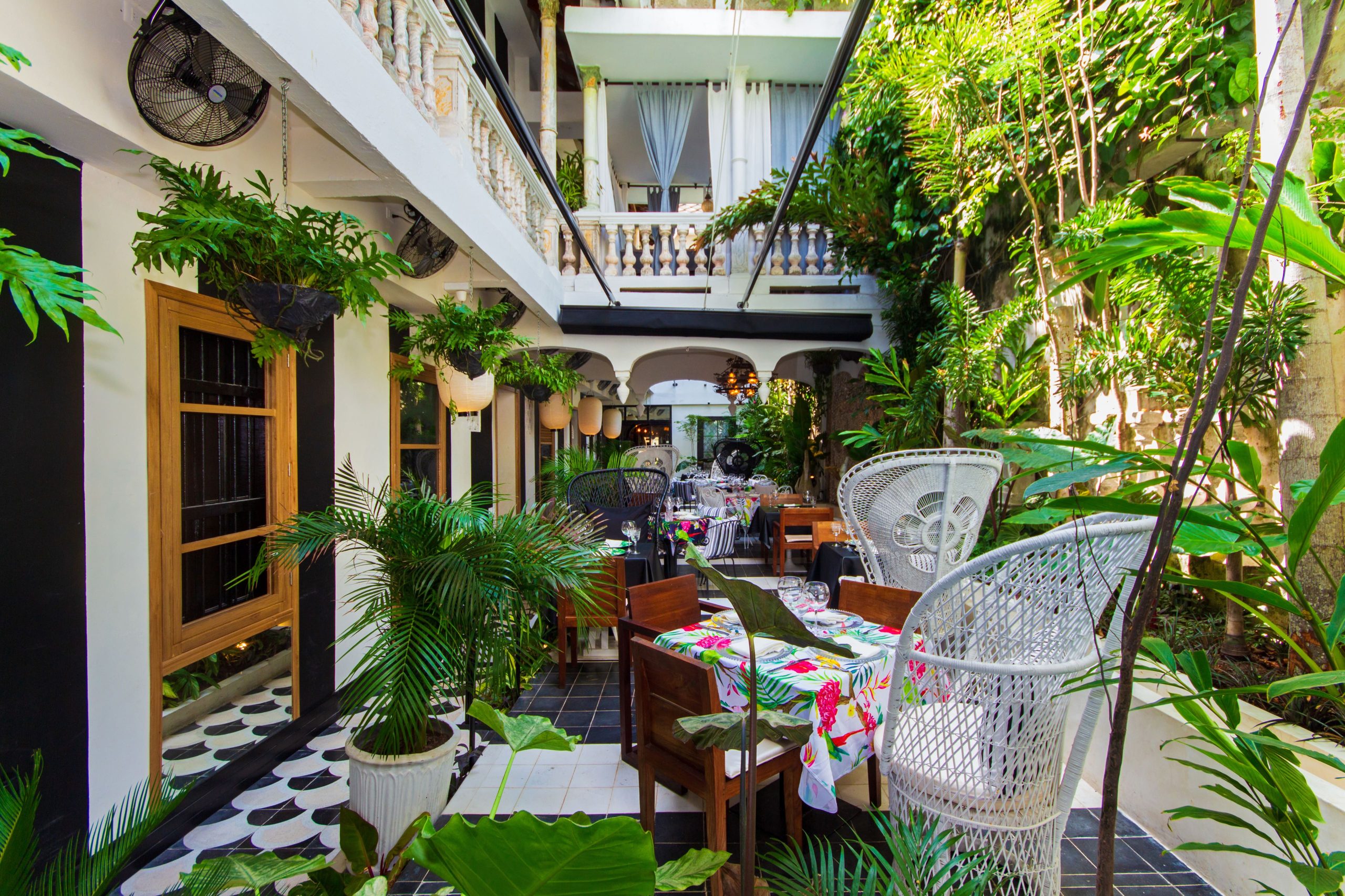 PATIO TROPICAL